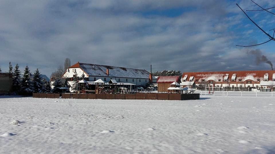 Hotel Stara Stajnia Pleszew Esterno foto