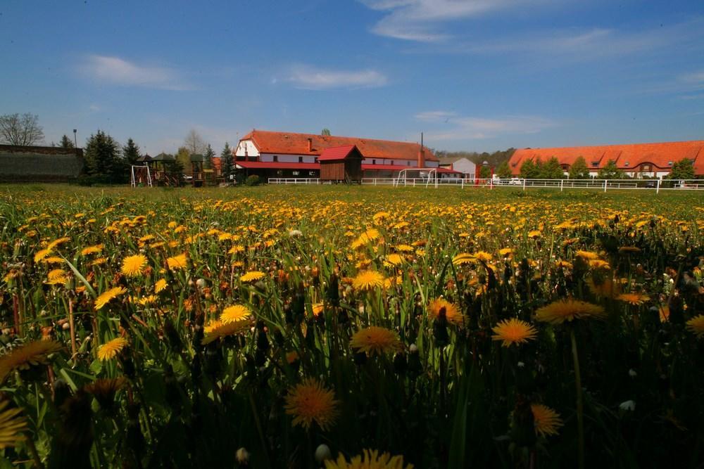 Hotel Stara Stajnia Pleszew Esterno foto